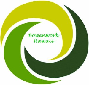 Bowenwork Hawaii